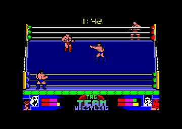 American Tag Team Wrestling (UK) (1992) screen shot game playing